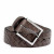 Abbots Brown  +