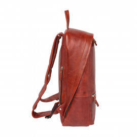 Adams Redwood