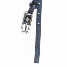 Bartonia Dark Blue