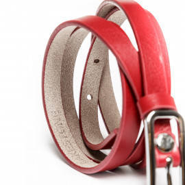Bartonia Red
