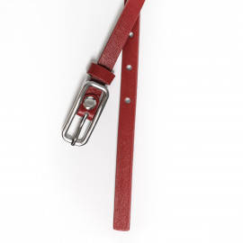 Bartonia Red
