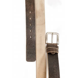 Dart Brown