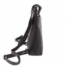 Eden Black Caiman