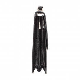 Gilbert Black Caiman