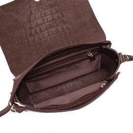 Kidney Brown