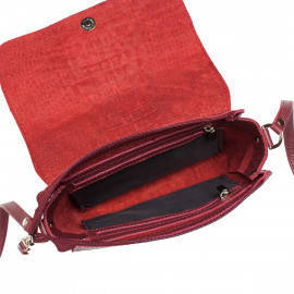 Kidney Burgundy