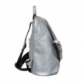 Larch Silver Grey