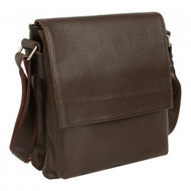 Shellmor Brown